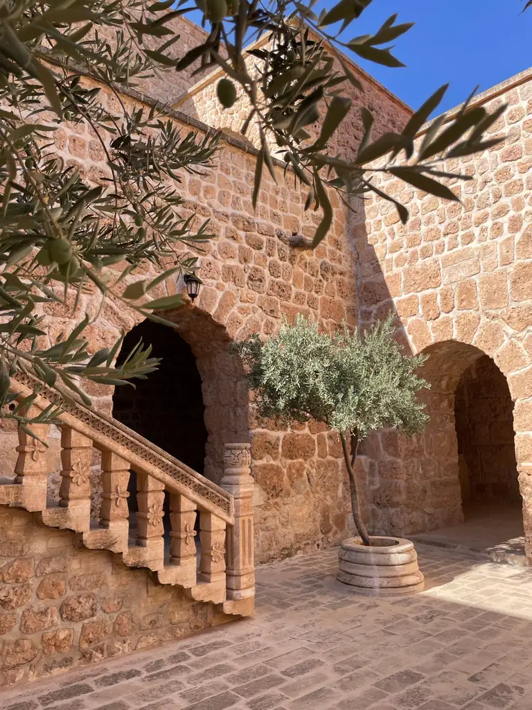 Scalinata in pietra con ulivi e archi mediterranei
